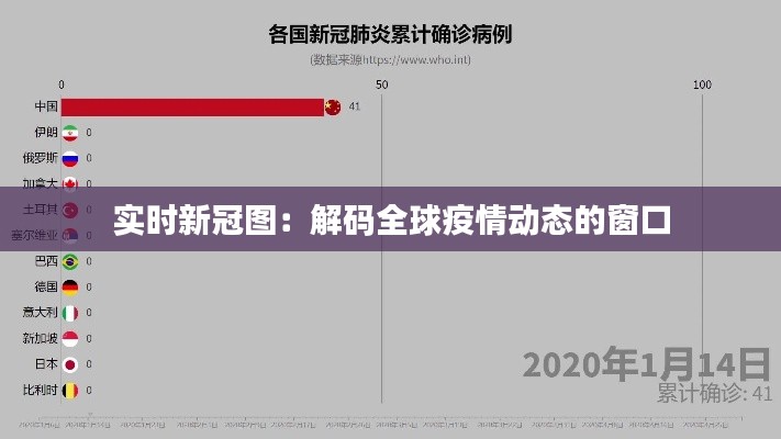 实时新冠图:解码全球疫情动态的窗口