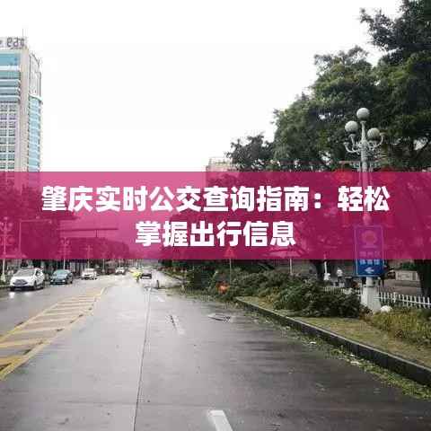 肇庆实时公交查询指南:轻松掌握出行信息