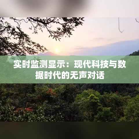实时监测显示:现代科技与数据时代的无声对话