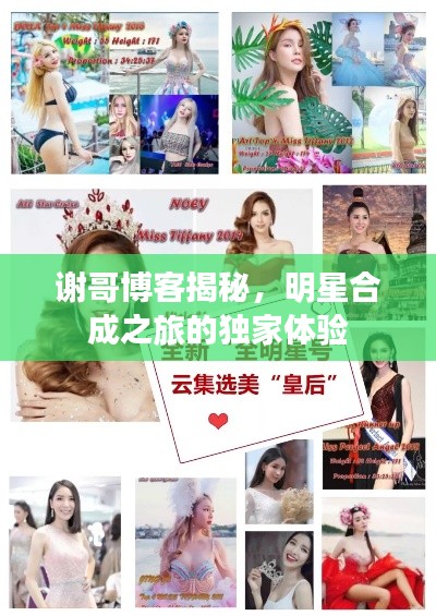 谢哥博客揭秘,明星合成之旅的独家体验