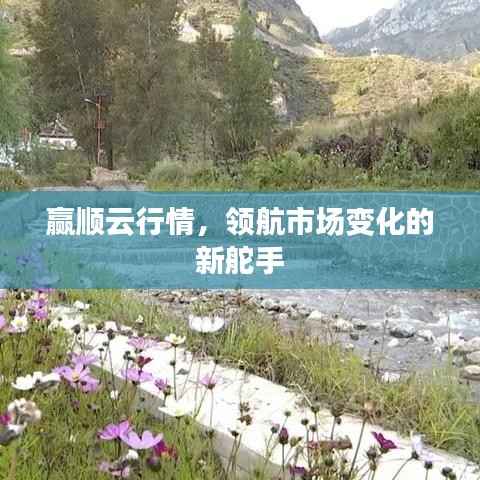 赢顺云行情,领航市场变化的新舵手