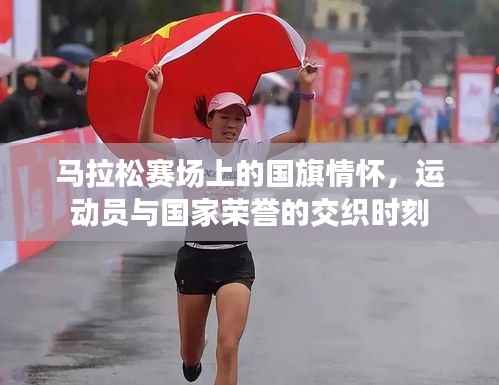 司空见惯 第3页