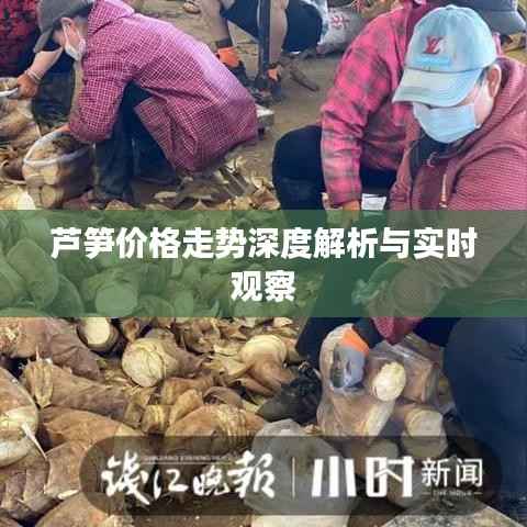 芦笋价格走势深度解析与实时观察