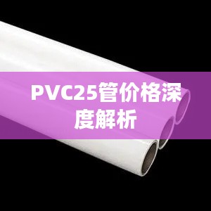 PVC25管价格深度解析