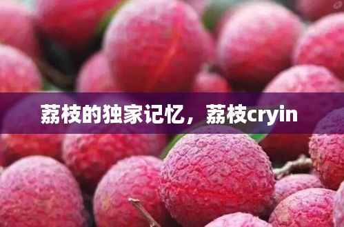 荔枝的独家记忆，荔枝cryin 