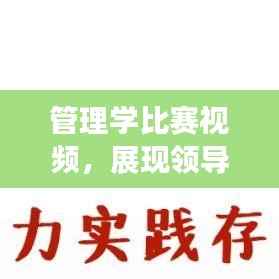管理学比赛视频,展现领导力与团队协作的实战风采展示!