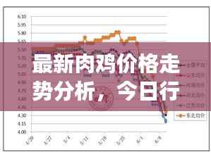 最新肉鸡价格走势分析，今日行情动态及市场趋势解读