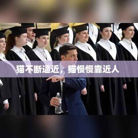 猫不断逼近,猫慢慢靠近人