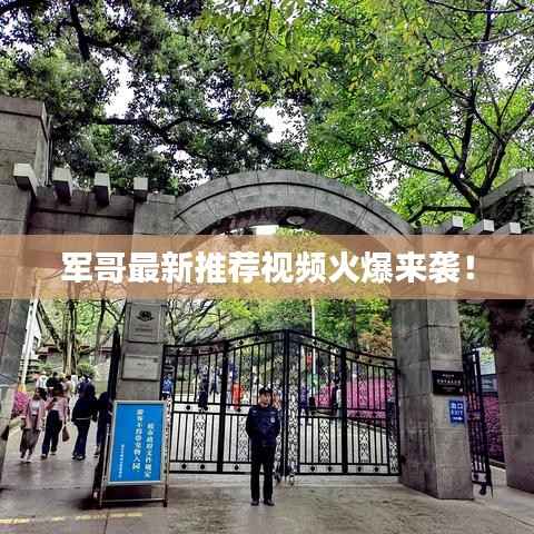 军哥最新推荐视频火爆来袭！