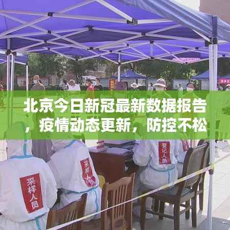北京今日新冠最新数据报告,疫情动态更新,防控不松懈