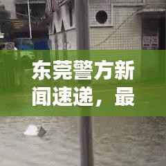 东莞警方新闻速递,最新动态抢先看