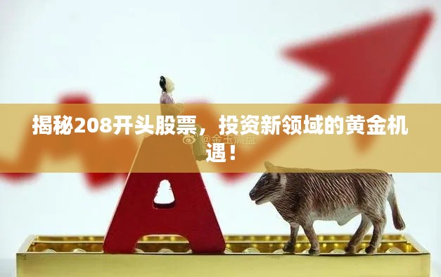 揭秘208开头股票，投资新领域的黄金机遇！
