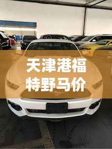 天津港福特野马价格揭秘，全方位解析，让您购车不踩坑！