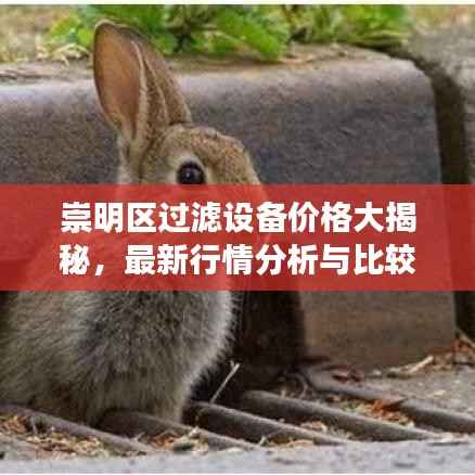 崇明区过滤设备价格大揭秘,最新行情分析与比较