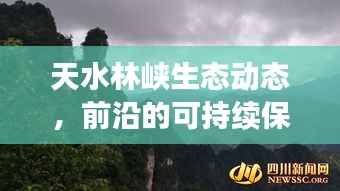 天水林峡生态动态,前沿的可持续保护与绿色发展新篇章