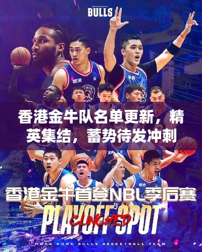 香港金牛队名单更新,精英集结,蓄势待发冲刺荣耀