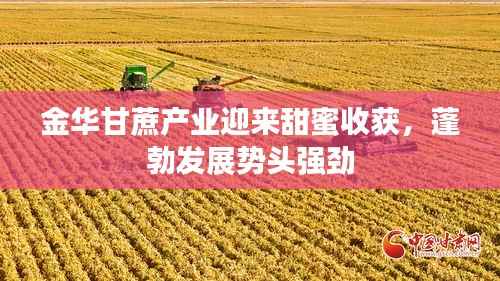 金华甘蔗产业迎来甜蜜收获，蓬勃发展势头强劲