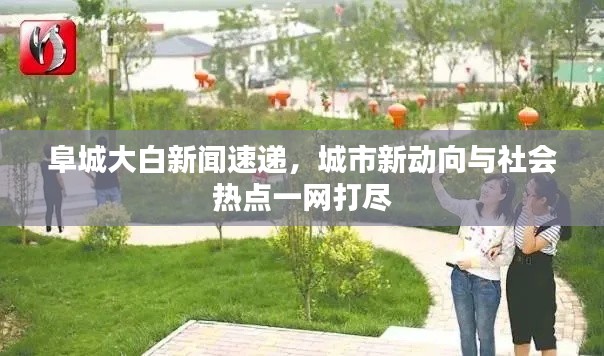 阜城大白新闻速递,城市新动向与社会热点一网打尽