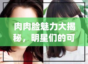 肉肉脸魅力大揭秘,明星们的可爱诠释,百度收录标准标题