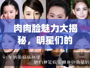 肉肉脸魅力大揭秘，明星们的可爱诠释，百度收录标准标题