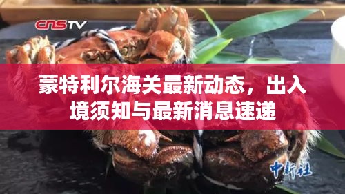 蒙特利尔海关最新动态,出入境须知与最新消息速递