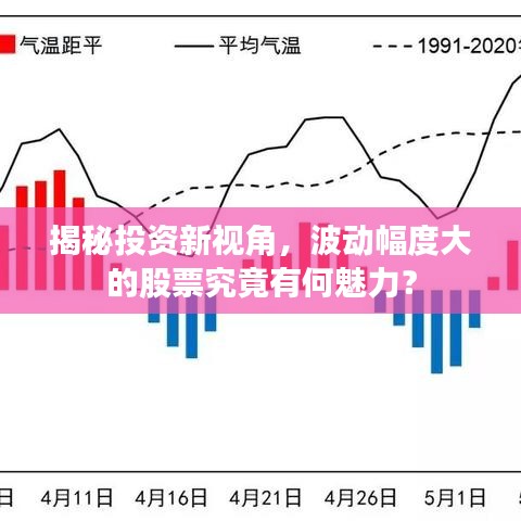 揭秘投资新视角,波动幅度大的股票究竟有何魅力?