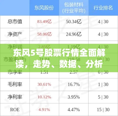 东风5号股票行情全面解读,走势、数据、分析与预测