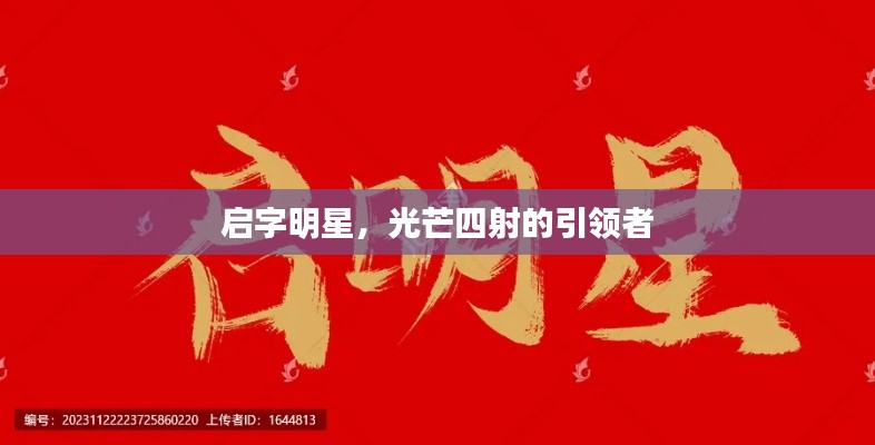 启字明星,光芒四射的引领者