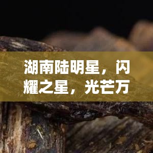 湖南陆明星,闪耀之星,光芒万丈