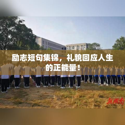 励志短句集锦,礼貌回应人生的正能量!