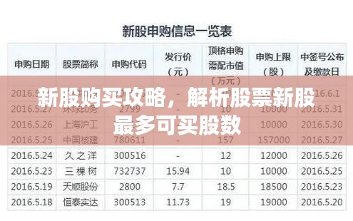 新股购买攻略,解析股票新股最多可买股数