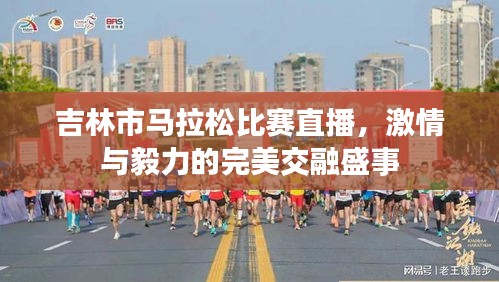 吉林市马拉松比赛直播,激情与毅力的完美交融盛事