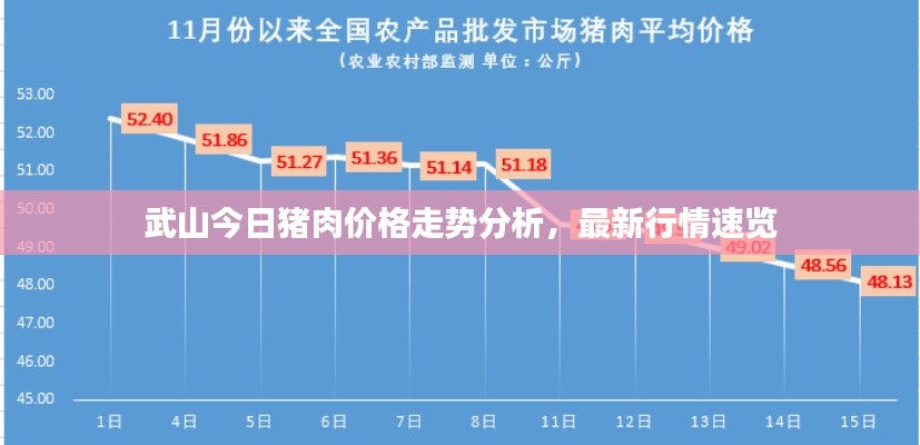 武山今日猪肉价格走势分析,最新行情速览