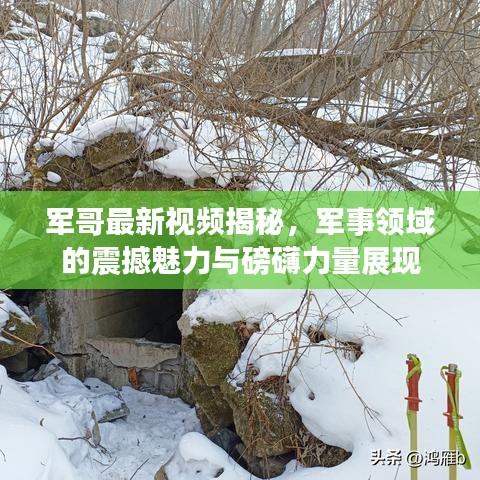 军哥最新视频揭秘,军事领域的震撼魅力与磅礴力量展现