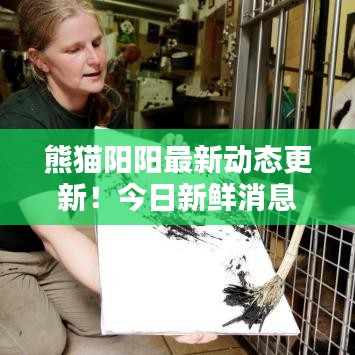 熊猫阳阳最新动态更新！今日新鲜消息揭秘！