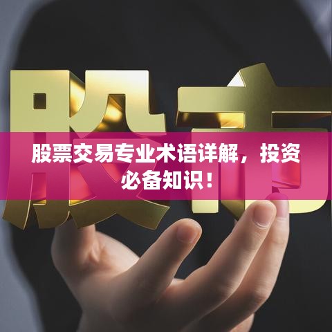 股票交易专业术语详解,投资必备知识!