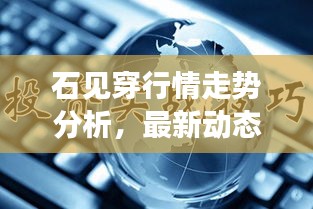 石见穿行情走势分析，最新动态与市场趋势揭秘