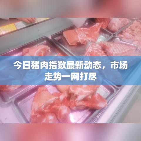 今日猪肉指数最新动态,市场走势一网打尽