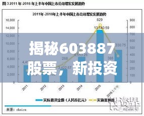 揭秘603887股票,新投资机遇与挑战并存