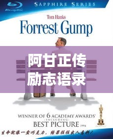 阿甘正传励志语录,人生就像巧克力,永远充满惊喜与感动!