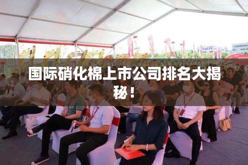 国际硝化棉上市公司排名大揭秘!