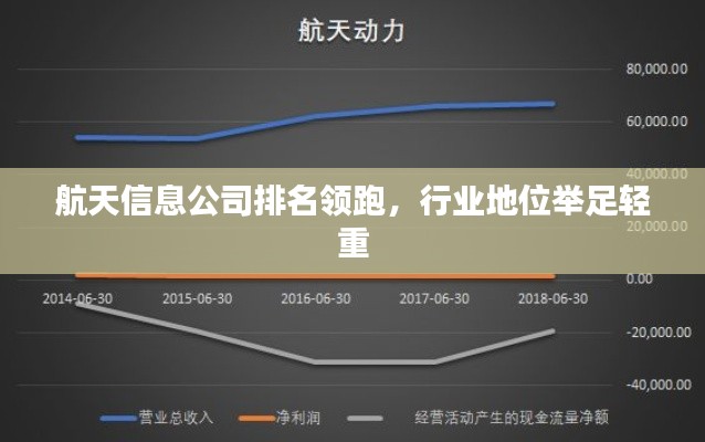 航天信息公司排名领跑，行业地位举足轻重