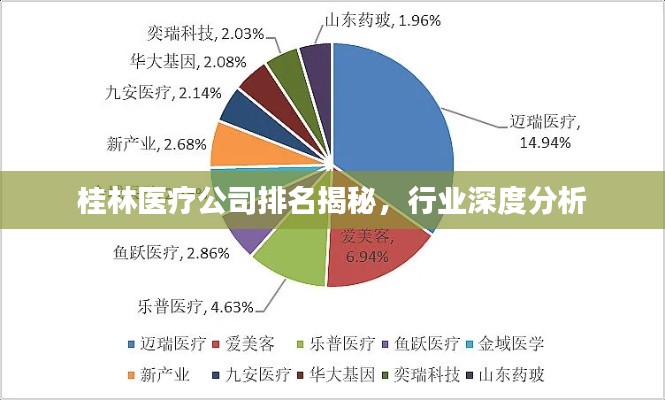 桂林医疗公司排名揭秘,行业深度分析