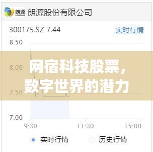 网宿科技股票,数字世界的潜力股,投资新宠!