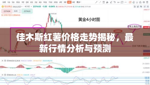 佳木斯红薯价格走势揭秘,最新行情分析与预测