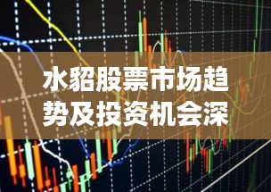 水貂股票市场趋势及投资机会深度解析