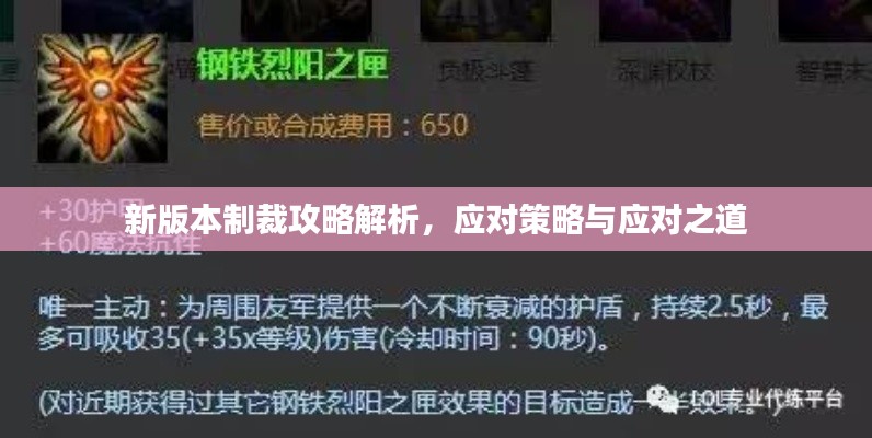 新版本制裁攻略解析,应对策略与应对之道