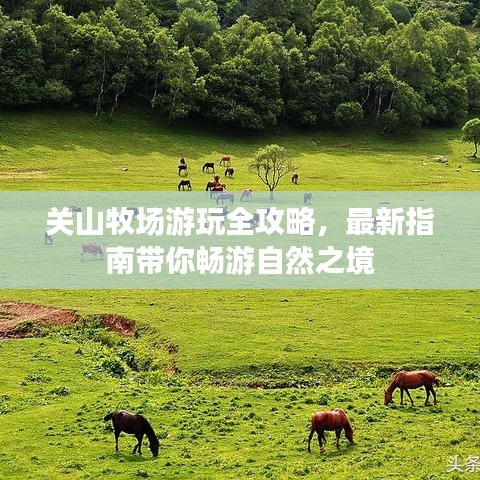 关山牧场游玩全攻略,最新指南带你畅游自然之境