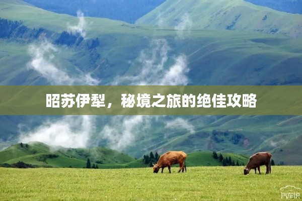 移罇就教 第2页
