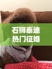 一言九鼎 第2页